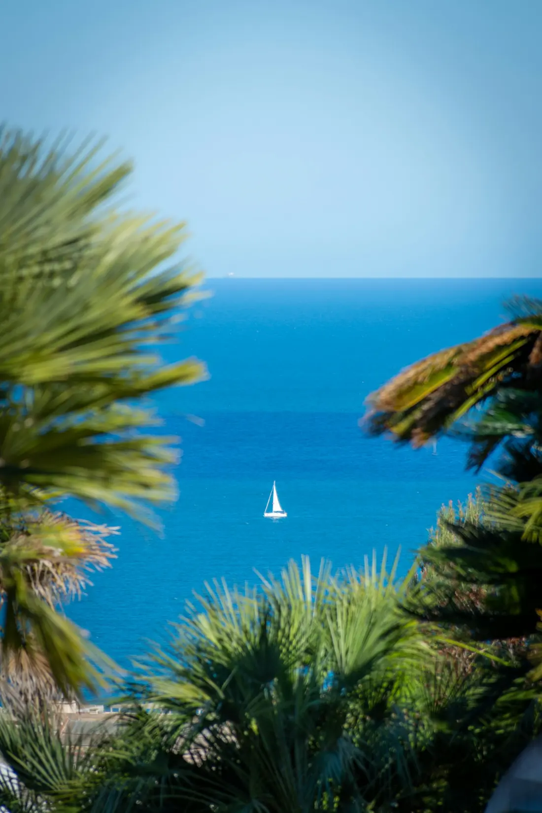 La Californie Cannes conciergerie Airbnb